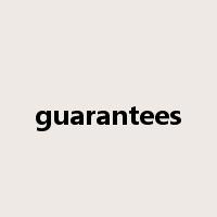guarantees是什么意思