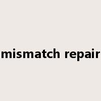 mismatch repair是什么意思