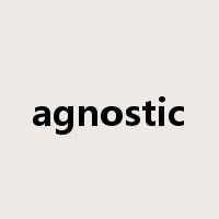 agnostic是什么意思