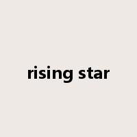 rising star是什么意思
