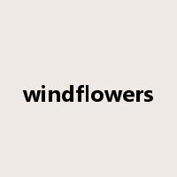 windflowers是什么意思