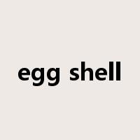 egg shell是什么意思