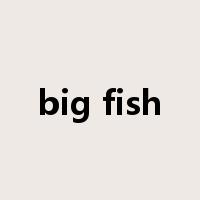 big fish是什么意思