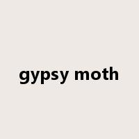 gypsy moth是什么意思
