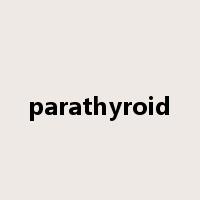 parathyroid是什么意思