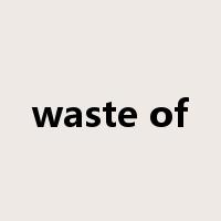 waste of是什么意思