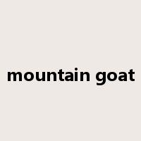 mountain goat是什么意思