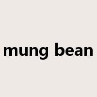 mung bean是什么意思