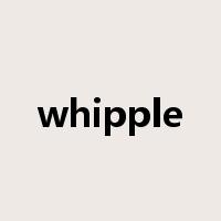 whipple是什么意思