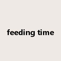 feeding time是什么意思