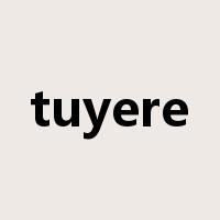 tuyere是什么意思