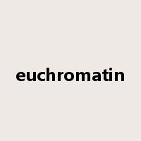 euchromatin是什么意思