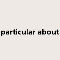 particular about是什么意思