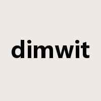 dimwit是什么意思
