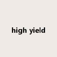 high yield是什么意思