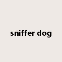 sniffer dog是什么意思