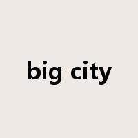 big city是什么意思