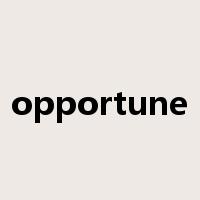 opportune是什么意思
