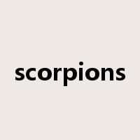 scorpions是什么意思