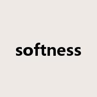 softness是什么意思