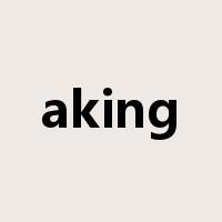 aking是什么意思
