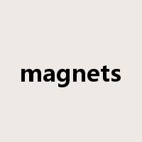 magnets是什么意思