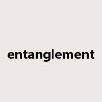 entanglement是什么意思