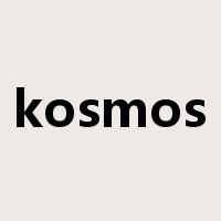 kosmos是什么意思