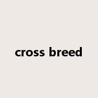 cross breed是什么意思