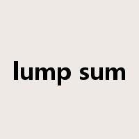 lump sum是什么意思