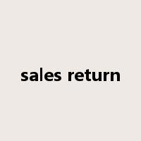 sales return是什么意思