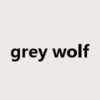 grey wolf是什么意思
