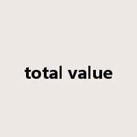 total value是什么意思
