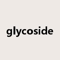 glycoside是什么意思