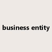 business entity是什么意思