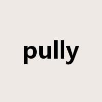 pully是什么意思