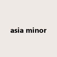 asia minor是什么意思