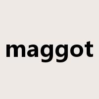 maggot是什么意思
