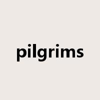 pilgrims是什么意思