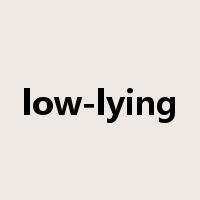 low-lying是什么意思