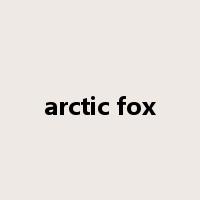 arctic fox是什么意思