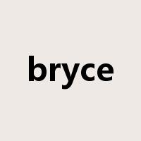 bryce是什么意思