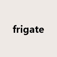 frigate是什么意思