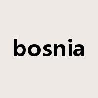 bosnia是什么意思