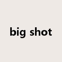 big shot是什么意思