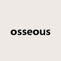 osseous是什么意思