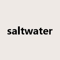 saltwater是什么意思