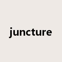 juncture是什么意思