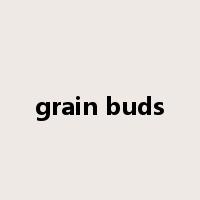 grain buds是什么意思