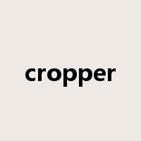 cropper是什么意思